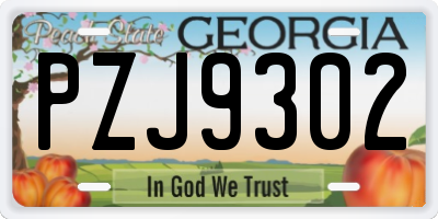 GA license plate PZJ9302
