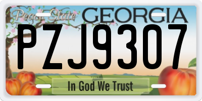 GA license plate PZJ9307