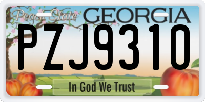 GA license plate PZJ9310