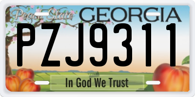 GA license plate PZJ9311