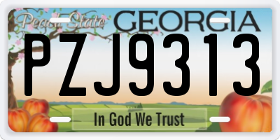 GA license plate PZJ9313