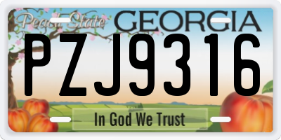 GA license plate PZJ9316