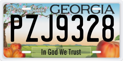GA license plate PZJ9328