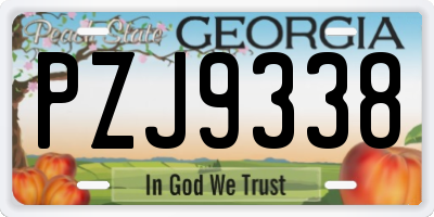 GA license plate PZJ9338
