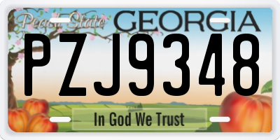 GA license plate PZJ9348