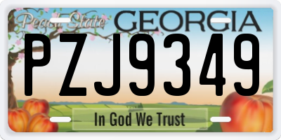 GA license plate PZJ9349