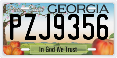 GA license plate PZJ9356