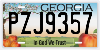 GA license plate PZJ9357