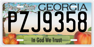 GA license plate PZJ9358