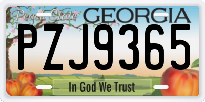 GA license plate PZJ9365