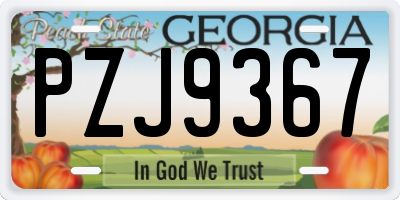 GA license plate PZJ9367