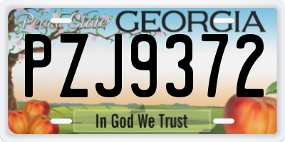 GA license plate PZJ9372