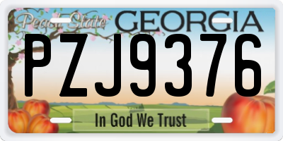 GA license plate PZJ9376