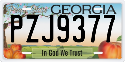 GA license plate PZJ9377