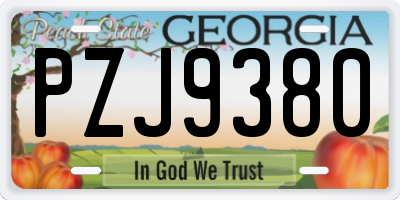 GA license plate PZJ9380