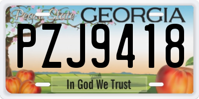 GA license plate PZJ9418