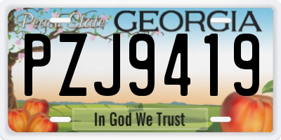 GA license plate PZJ9419