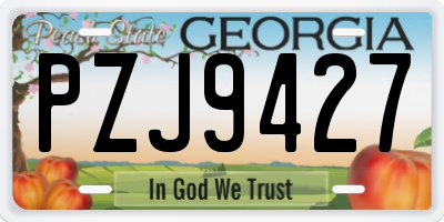 GA license plate PZJ9427