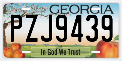 GA license plate PZJ9439