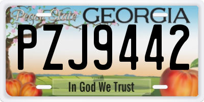 GA license plate PZJ9442
