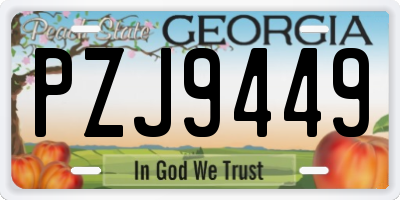 GA license plate PZJ9449