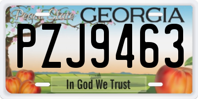 GA license plate PZJ9463