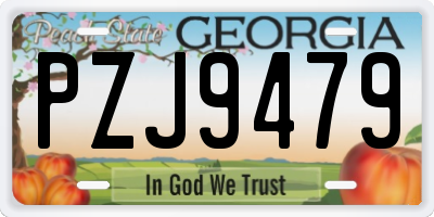 GA license plate PZJ9479