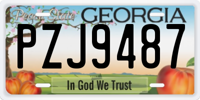 GA license plate PZJ9487
