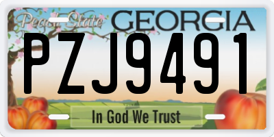 GA license plate PZJ9491