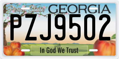 GA license plate PZJ9502