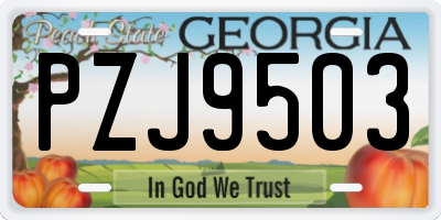 GA license plate PZJ9503