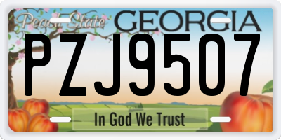 GA license plate PZJ9507