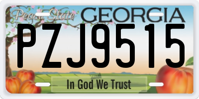 GA license plate PZJ9515