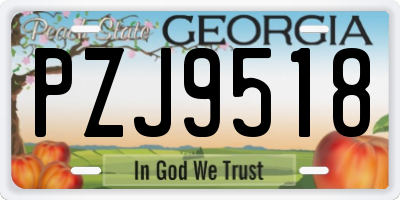 GA license plate PZJ9518