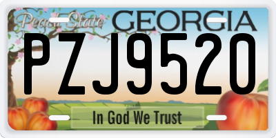 GA license plate PZJ9520