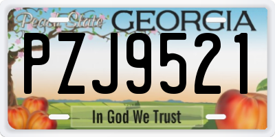 GA license plate PZJ9521
