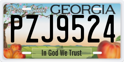 GA license plate PZJ9524