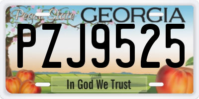 GA license plate PZJ9525