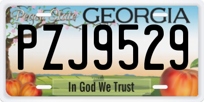 GA license plate PZJ9529