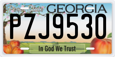 GA license plate PZJ9530