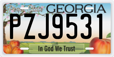 GA license plate PZJ9531