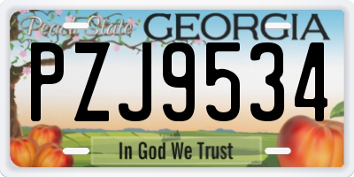 GA license plate PZJ9534