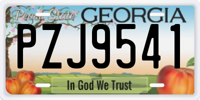 GA license plate PZJ9541