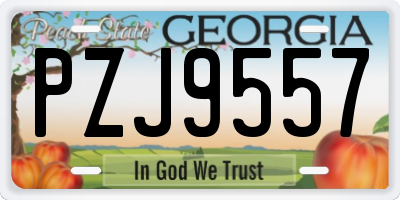 GA license plate PZJ9557