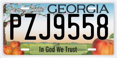 GA license plate PZJ9558