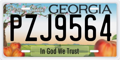 GA license plate PZJ9564