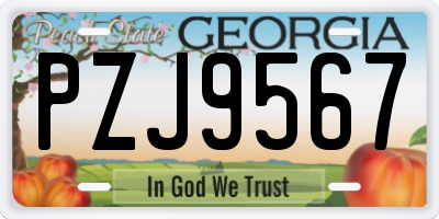 GA license plate PZJ9567