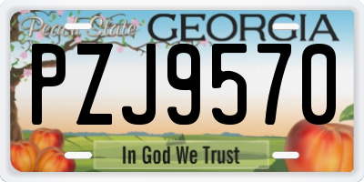 GA license plate PZJ9570