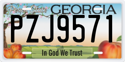 GA license plate PZJ9571