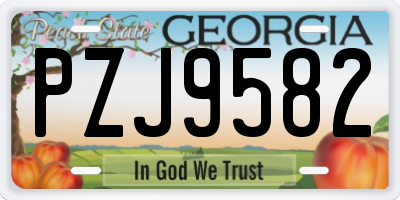 GA license plate PZJ9582